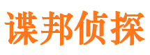 卧龙市调查公司